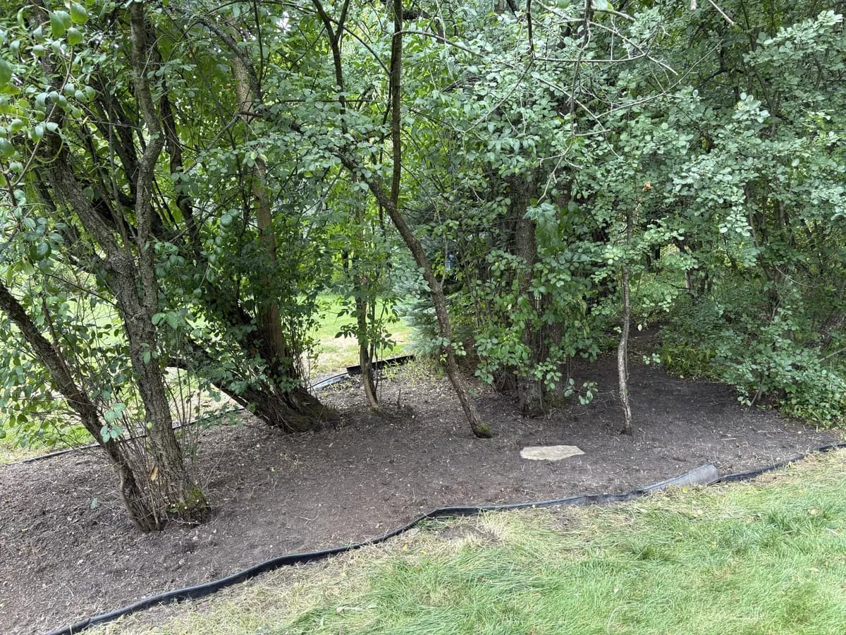 Yard Cleanups — after