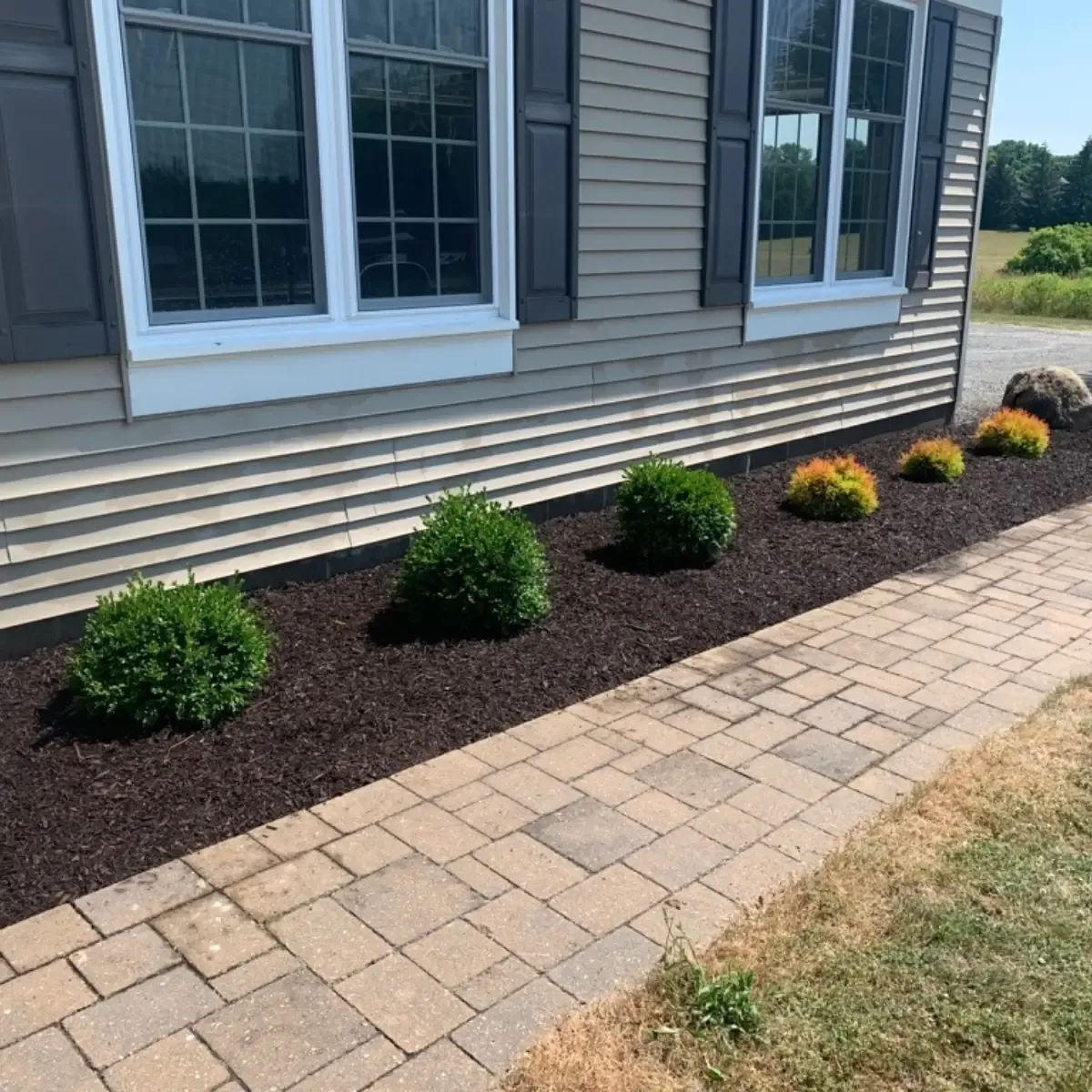 Mulching — after