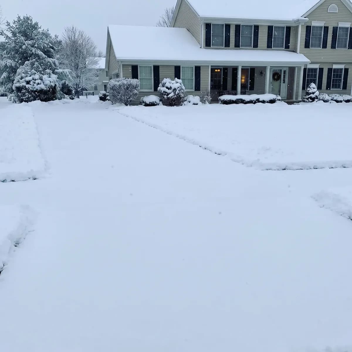 Snow Removal — before