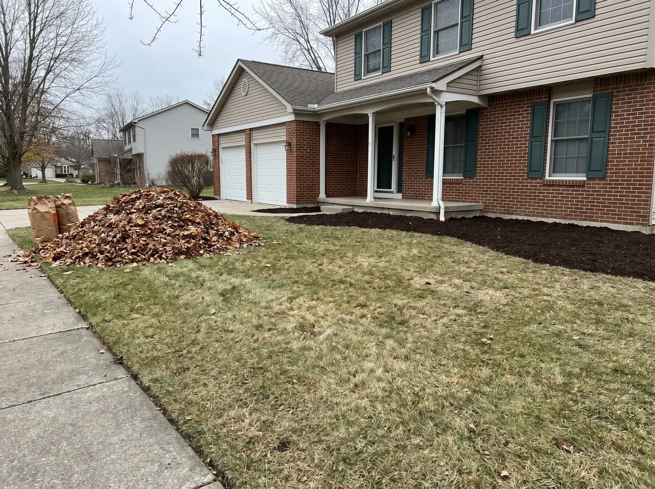 Fall Cleanup