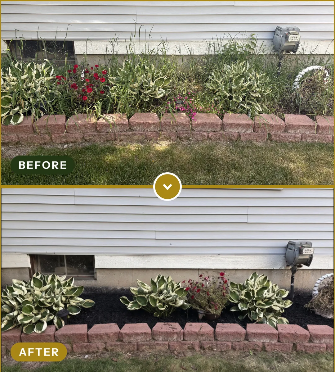 Foundation Bed Cleanup in Lake Orion, MI — before and after