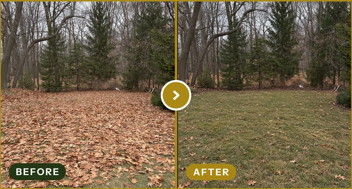Fall Leaf Cleanup in Rochester Hills, MI — before and after