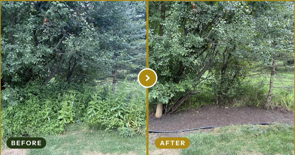 Full Bed Cleanup in Rochester Hills, MI — before and after