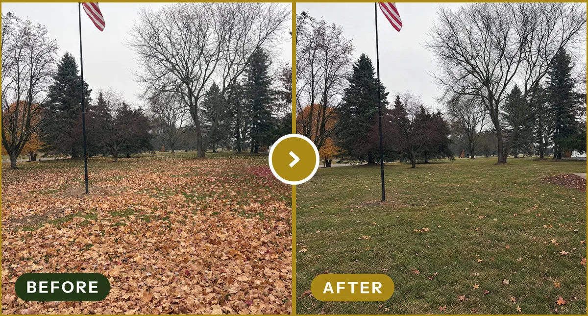 Fall Leaf Cleanup in Rochester Hills, MI — before and after
