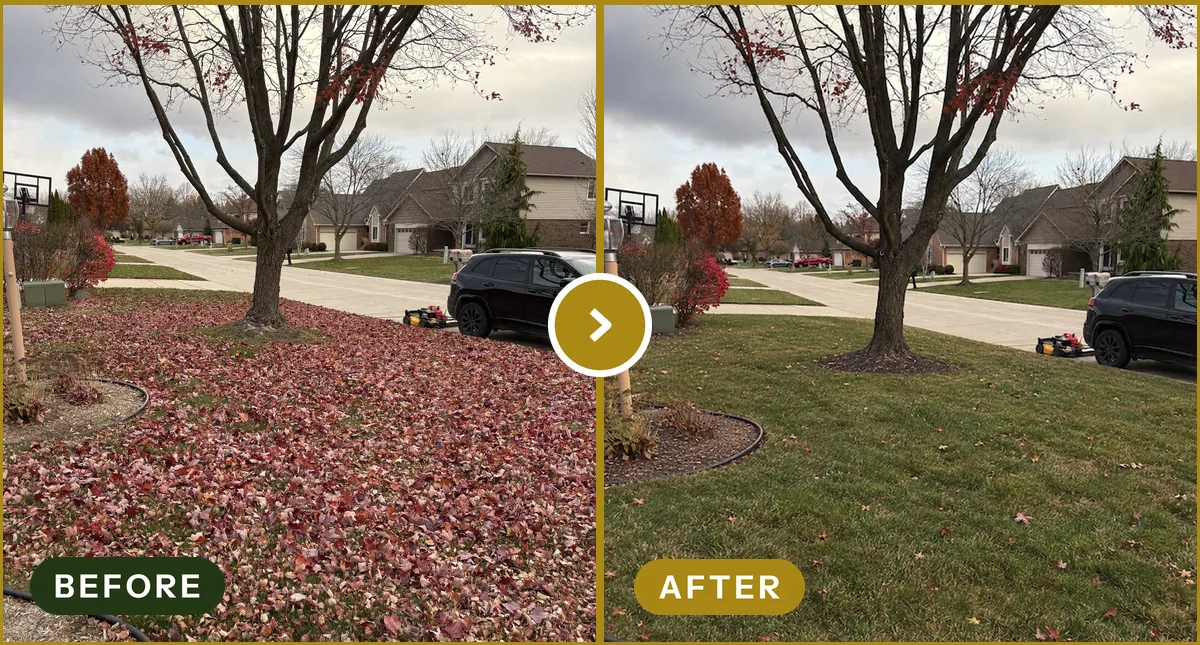 Fall Leaf Cleanup in Rochester Hills, MI — before and after